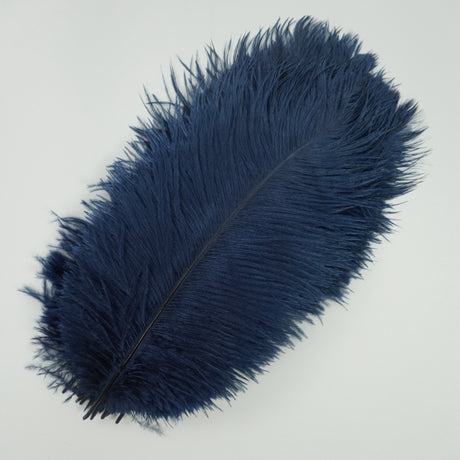 Ten Coloured Ostrich Feathers