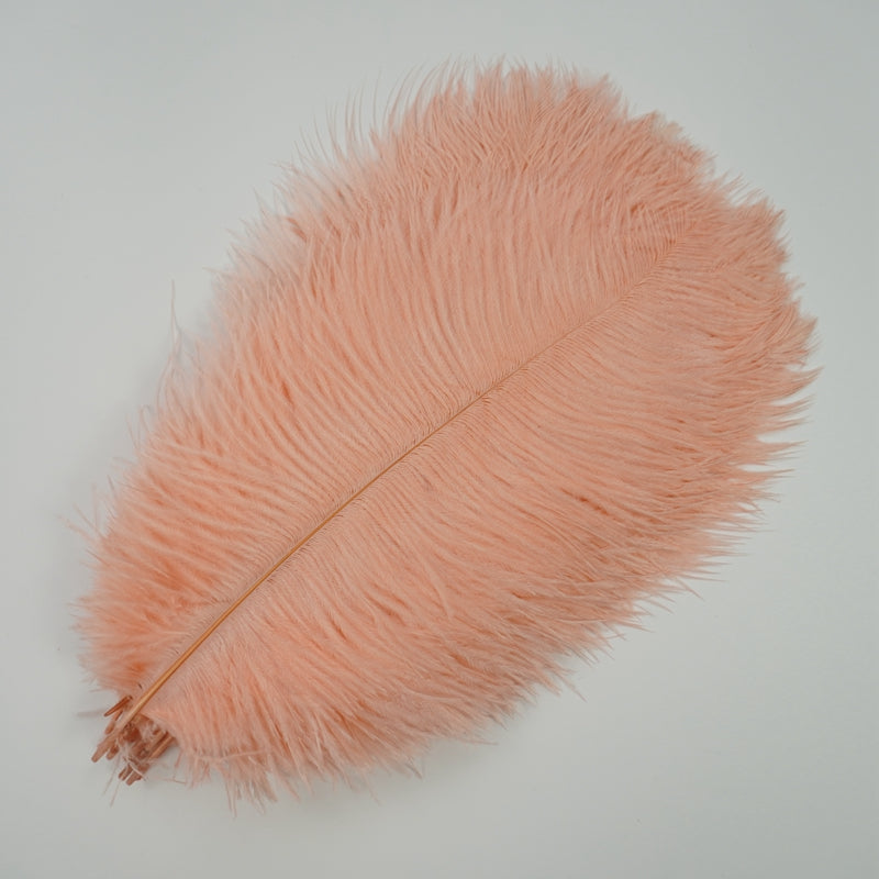 Ten Coloured Ostrich Feathers