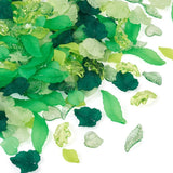 270Pcs Transparent Acrylic Green Leaf Charms For Bracelet Necklace Earring DIY Jewellery Making - Woodland Gatherer Woodland Gatherer | Australian Online Gift Store | Gifts & Treasures | Special Occasions & Everyday Fun | Whimsical Treats | Costumes | Jewellery | Fashion | Crafting DIY | Stationery | Boho Festival Fashion | Home Decor & Fittings     Afterpay Available Paypal Available Humm Available Worldwide Shipping Available