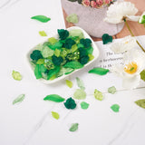 270Pcs Transparent Acrylic Green Leaf Charms For Bracelet Necklace Earring DIY Jewellery Making