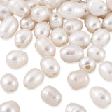 100Pcs Natural Freshwater Pearl Beads Loose Spacer Bead For Bracelet Earring DIY Jewellery Making