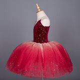 Fleur Ballerina Tutu Leotard Girls Ballet Dress