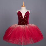 Fleur Ballerina Tutu Leotard Girls Ballet Dress