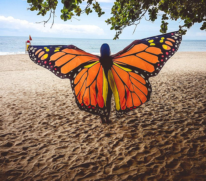 Super Large Butterfly Wings Dancing Festival Wear Adult Kids 2 Sizes
