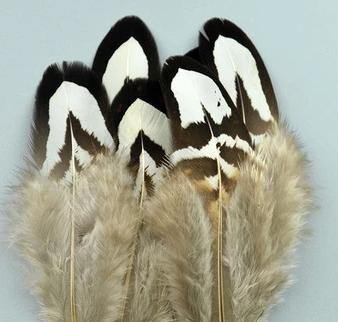 20pc Natural Feathers | Lots To Choose From | DIY Decor Craft - Woodland Gatherer