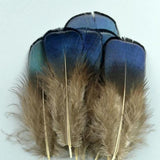 20pc Natural Feathers | Lots To Choose From | DIY Decor Craft - Woodland Gatherer