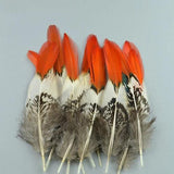 20pc Natural Feathers | Lots To Choose From | DIY Decor Craft - Woodland Gatherer