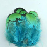 20pc Natural Feathers | Lots To Choose From | DIY Decor Craft - Woodland Gatherer