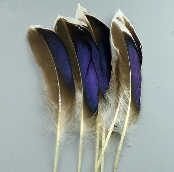 20pc Natural Feathers | Lots To Choose From | DIY Decor Craft - Woodland Gatherer
