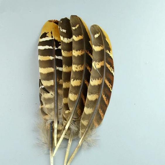 20pc Natural Feathers | Lots To Choose From | DIY Decor Craft - Woodland Gatherer