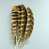 20pc Natural Feathers | Lots To Choose From | DIY Decor Craft - Woodland Gatherer