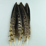 20pc Natural Feathers | Lots To Choose From | DIY Decor Craft - Woodland Gatherer