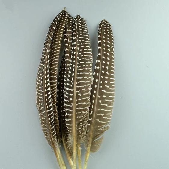 20pc Natural Feathers | Lots To Choose From | DIY Decor Craft - Woodland Gatherer