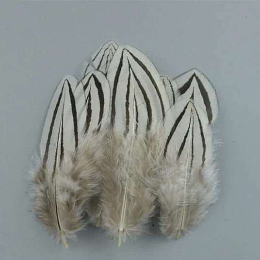 20pc Natural Feathers | Lots To Choose From | DIY Decor Craft - Woodland Gatherer