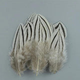 20pc Natural Feathers | Lots To Choose From | DIY Decor Craft - Woodland Gatherer