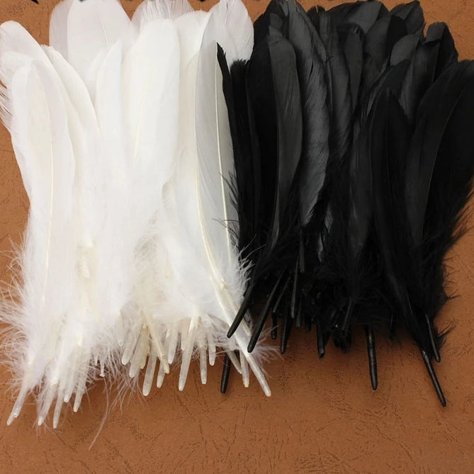 Fifty Natural Large Black & White Goose Feathers