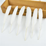 Gold Dipped Duck Feathers for DIY Crafting.