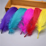 100pcs Goose Nagoire Feathers Plumes | 5-7inch/13-18cm | Crafting | Many Colours - Woodland Gatherer