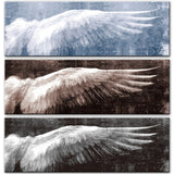 Angel Wings Canvas Print