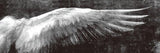 Angel Wings Canvas Print