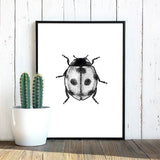 Woodland Animal Room Decor Canvas Wall Art Insects Bugs Illustrations Dragon Fly Bee Beetle Butterfly Black and White Home Decor | Woodland Gatherer | Australian Online Store | Gifts & Treasures | Special Occasions & Everyday Fun | Boho Life | Whimsical Treats | Jewellery | Fashion | Crafting DYI | Stationery | Boho Festival Fashion 