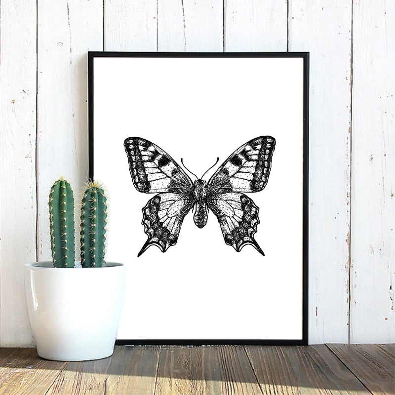 Insect Illustrations | Black And White Wall Art Canvas | Home Decor