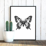 Insect Illustrations | Black And White Wall Art Canvas | Home Decor