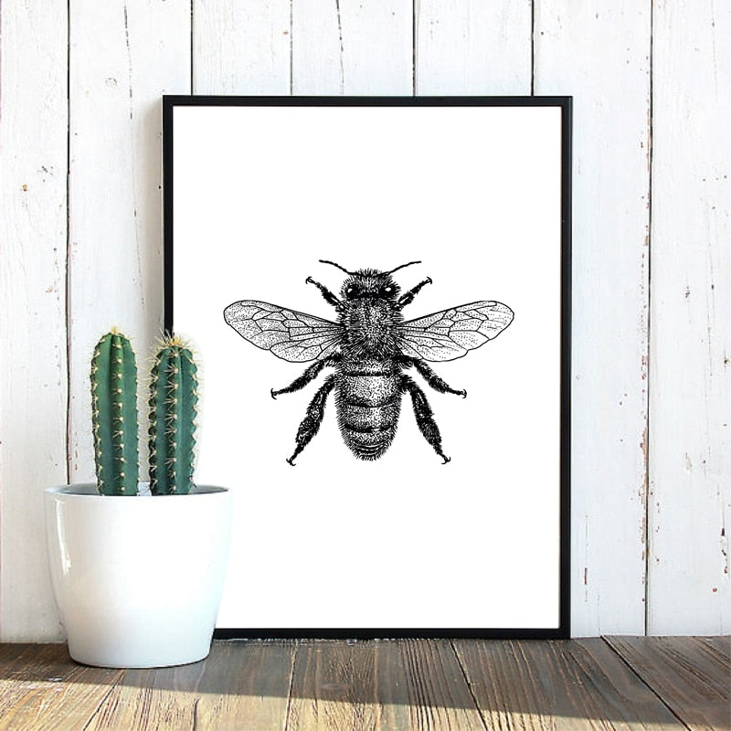 Woodland Animal Room Decor Canvas Wall Art Insects Bugs Illustrations Dragon Fly Bee Beetle Butterfly Black and White Home Decor | Woodland Gatherer | Australian Online Store | Gifts & Treasures | Special Occasions & Everyday Fun | Boho Life | Whimsical Treats | Jewellery | Fashion | Crafting DYI | Stationery | Boho Festival Fashion 