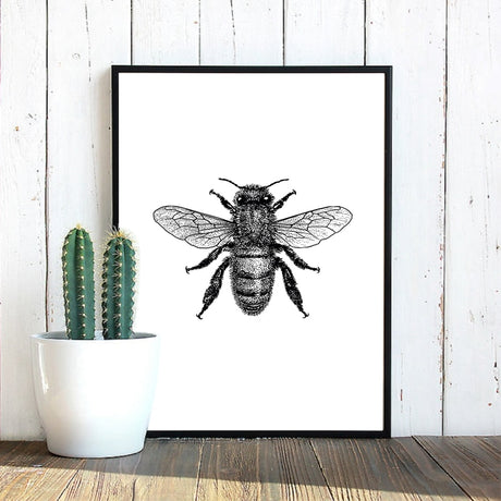 Woodland Animal Room Decor Canvas Wall Art Insects Bugs Illustrations Dragon Fly Bee Beetle Butterfly Black and White Home Decor | Woodland Gatherer | Australian Online Store | Gifts & Treasures | Special Occasions & Everyday Fun | Boho Life | Whimsical Treats | Jewellery | Fashion | Crafting DYI | Stationery | Boho Festival Fashion 