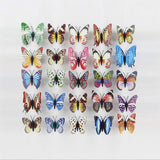 12 Glow in the Dark Butterflies - Woodland Gatherer
